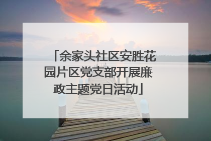 余家头社区安胜花园片区党支部开展廉政主题党日活动