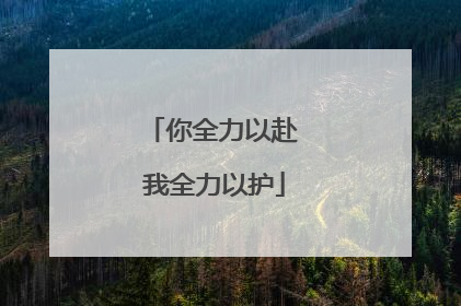 你全力以赴 我全力以护