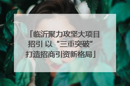 临沂聚力攻坚大项目招引 以“三重突破”打造招商引资新格局