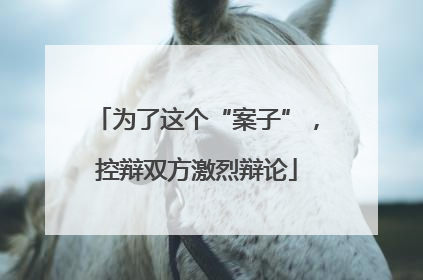 为了这个“案子”，控辩双方激烈辩论