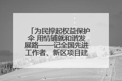 为民撑起权益保护伞 用情铺就和谐发展路——记全国先进工作者、新区项目建设中心干部卢小勇