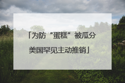 为防“蛋糕”被瓜分 美国罕见主动推销