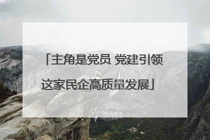 主角是党员 党建引领这家民企高质量发展