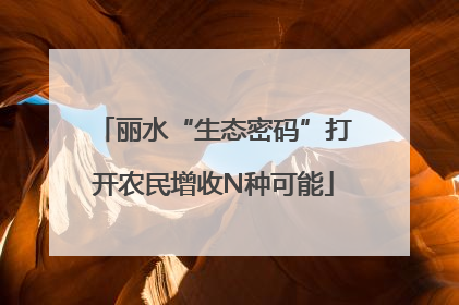 丽水“生态密码”打开农民增收N种可能