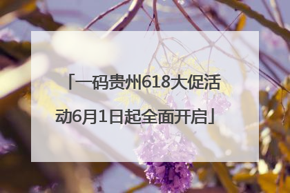 一码贵州618大促活动6月1日起全面开启