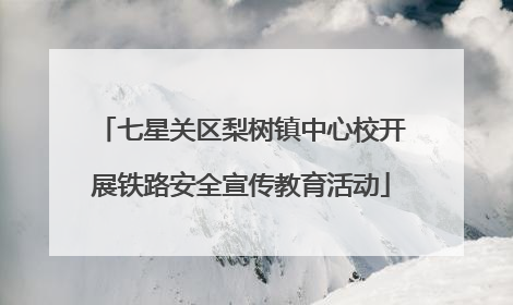 七星关区梨树镇中心校开展铁路安全宣传教育活动