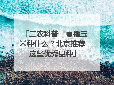 三农科普｜夏播玉米种什么？北京推荐这些优秀品种