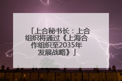 上合秘书长：上合组织将通过《上海合作组织至2035年发展战略》