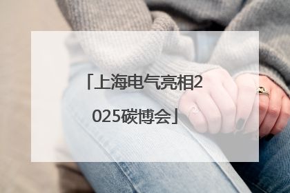 上海电气亮相2025碳博会