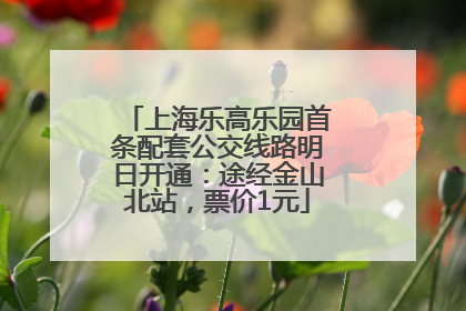 上海乐高乐园首条配套公交线路明日开通：途经金山北站，票价1元