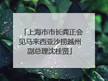 上海市市长龚正会见马来西亚沙捞越州副总理沈桂贤