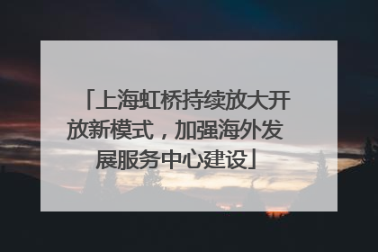 上海虹桥持续放大开放新模式，加强海外发展服务中心建设