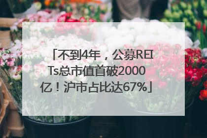 不到4年，公募REITs总市值首破2000亿！沪市占比达67%