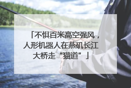 不惧百米高空强风，人形机器人在燕矶长江大桥走“猫道”