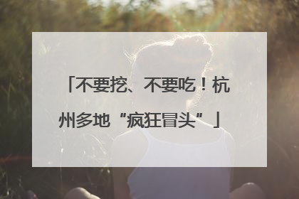 不要挖、不要吃！杭州多地“疯狂冒头”