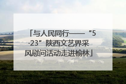 与人民同行——“5·23”陕西文艺界采风慰问活动走进榆林