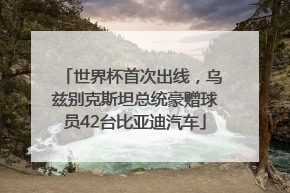 世界杯首次出线，乌兹别克斯坦总统豪赠球员42台比亚迪汽车