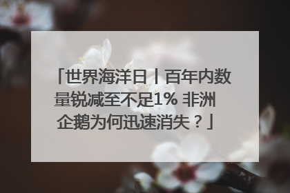 世界海洋日丨百年内数量锐减至不足1% 非洲企鹅为何迅速消失？