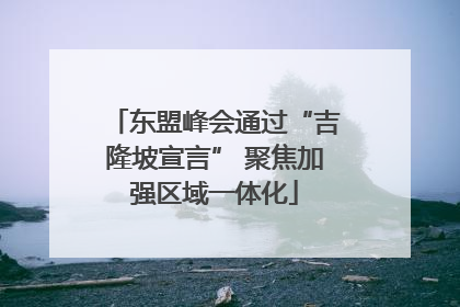 东盟峰会通过“吉隆坡宣言” 聚焦加强区域一体化