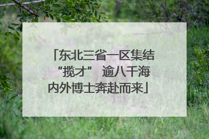 东北三省一区集结“揽才” 逾八千海内外博士奔赴而来