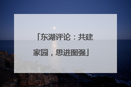 东湖评论：共建家园，思进图强