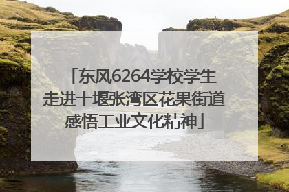 东风6264学校学生走进十堰张湾区花果街道感悟工业文化精神