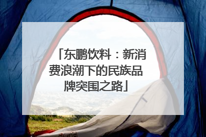 东鹏饮料：新消费浪潮下的民族品牌突围之路