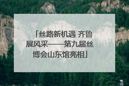 丝路新机遇 齐鲁展风采——第九届丝博会山东馆亮相