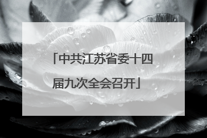 中共江苏省委十四届九次全会召开