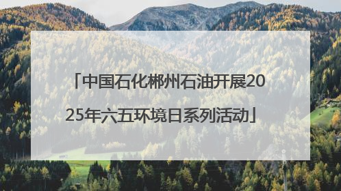 中国石化郴州石油开展2025年六五环境日系列活动