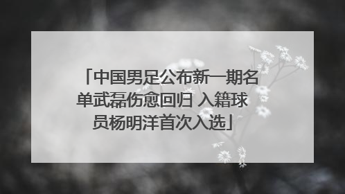 中国男足公布新一期名单武磊伤愈回归 入籍球员杨明洋首次入选