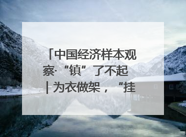 中国经济样本观察·“镇”了不起｜为衣做架，“挂”出来的80亿元“衣架产业”