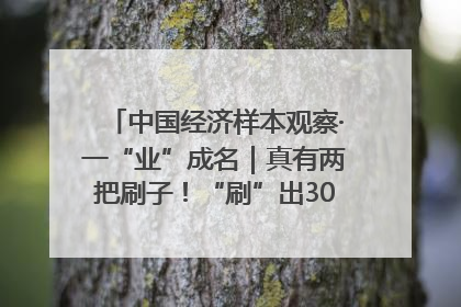 中国经济样本观察·一“业”成名｜真有两把刷子！“刷”出30亿级“颜值经济”