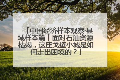 中国经济样本观察·县域样本篇丨面对石油资源枯竭，这座戈壁小城是如何走出困境的？