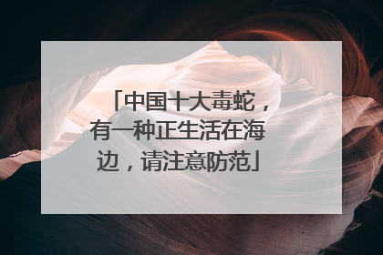 中国十大毒蛇，有一种正生活在海边，请注意防范