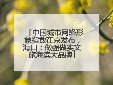 中国城市网络形象指数在京发布，海口：做强做实文旅海滨大品牌