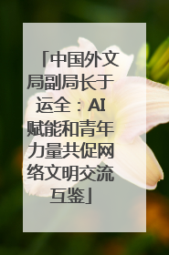 中国外文局副局长于运全：AI赋能和青年力量共促网络文明交流互鉴