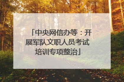 中央网信办等：开展军队文职人员考试培训专项整治