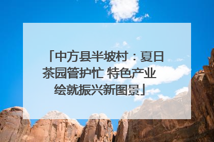 中方县半坡村：夏日茶园管护忙 特色产业绘就振兴新图景