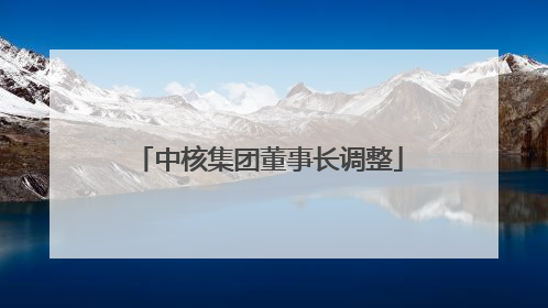 中核集团董事长调整