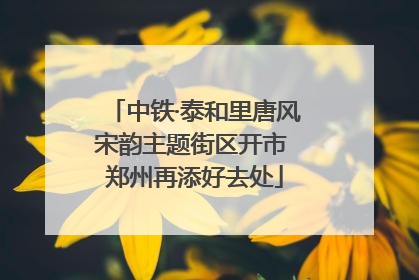 中铁·泰和里唐风宋韵主题街区开市 郑州再添好去处