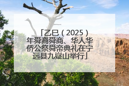 乙巳（2025）年舜裔舜商、华人华侨公祭舜帝典礼在宁远县九嶷山举行
