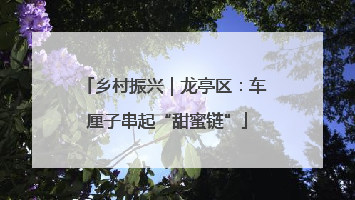 乡村振兴｜龙亭区：车厘子串起“甜蜜链”