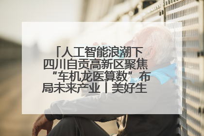 人工智能浪潮下 四川自贡高新区聚焦“车机龙医算数”布局未来产业丨美好生活有“盐”味