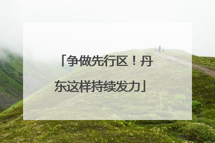 争做先行区！丹东这样持续发力