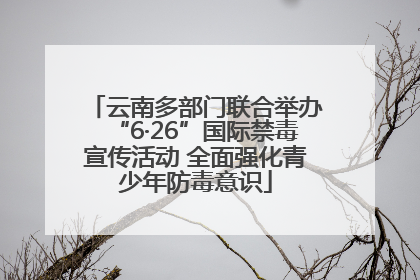 云南多部门联合举办“6·26”国际禁毒宣传活动 全面强化青少年防毒意识