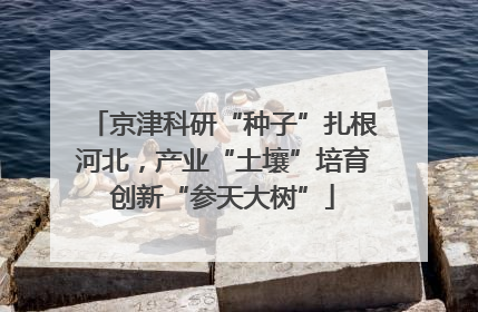 京津科研“种子”扎根河北，产业“土壤”培育创新“参天大树”