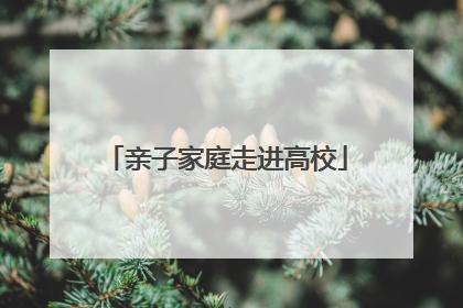 亲子家庭走进高校