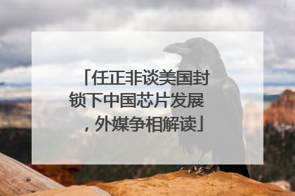 任正非谈美国封锁下中国芯片发展，外媒争相解读