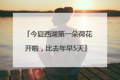 今夏西湖第一朵荷花开啦，比去年早5天